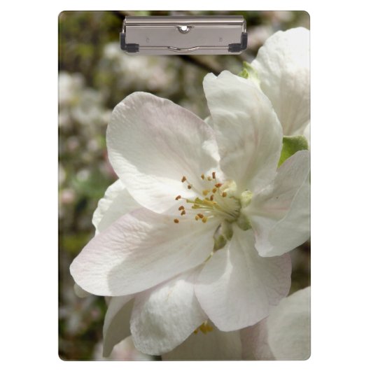 Apple Blossom Clipboard Klembord (Voorkant)