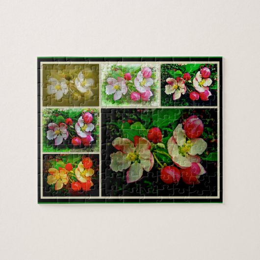 Apple Blossom Collage - Enhanced Digital Photo Legpuzzel (Horizontaal)