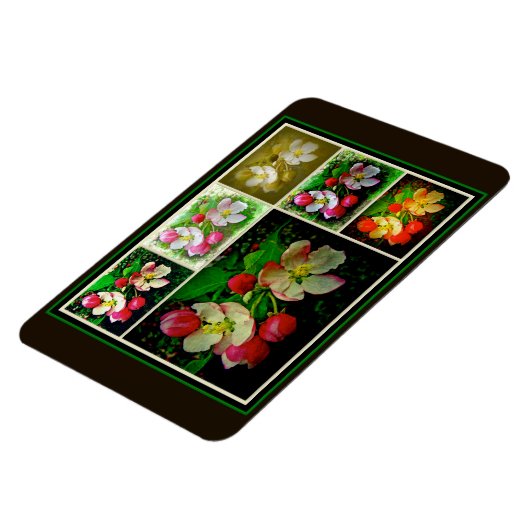 Apple Blossom Collage - Enhanced Digital Photo Magneet (Linkerzijde)