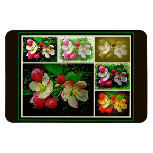 Apple Blossom Collage - Enhanced Digital Photo Magneet (Horizontaal)
