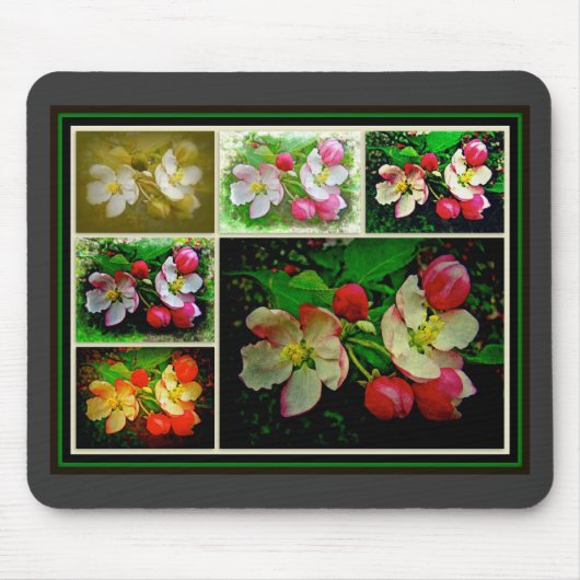 Apple Blossom Collage - Enhanced Digital Photo Muismat (Voorkant)