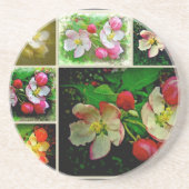 Apple Blossom Collage - Enhanced Digital Photo Zandsteen Onderzetter (Voorkant)