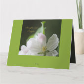 Apple Blossom Condolence Kaart (Achterkant)