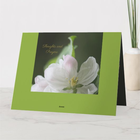 Apple Blossom Condolence Kaart (Achterkant)