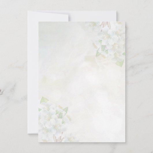 Apple blossom en bee Sweet 16 Uitnodiging (Achterkant)