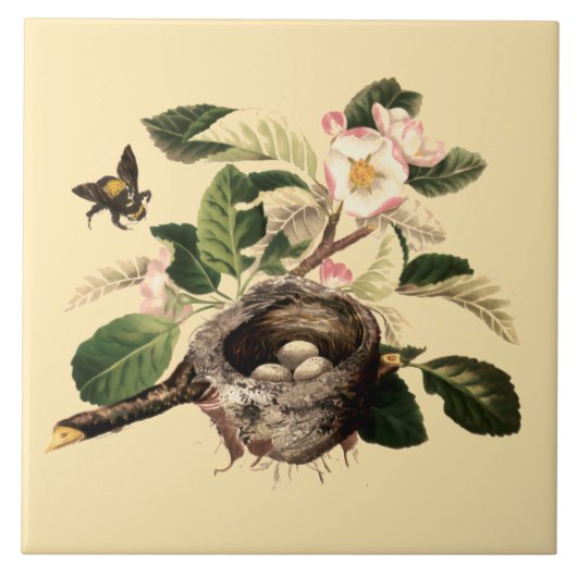 Apple Blossom en Bird's Nest Tegeltje (Voorkant)