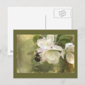 Apple Blossom en Bumblebee Briefkaart (Voorkant / Achterkant)