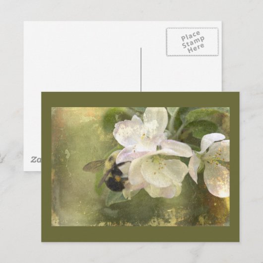 Apple Blossom en Bumblebee Briefkaart (Voorkant / Achterkant)