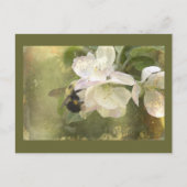 Apple Blossom en Bumblebee Briefkaart (Voorkant)