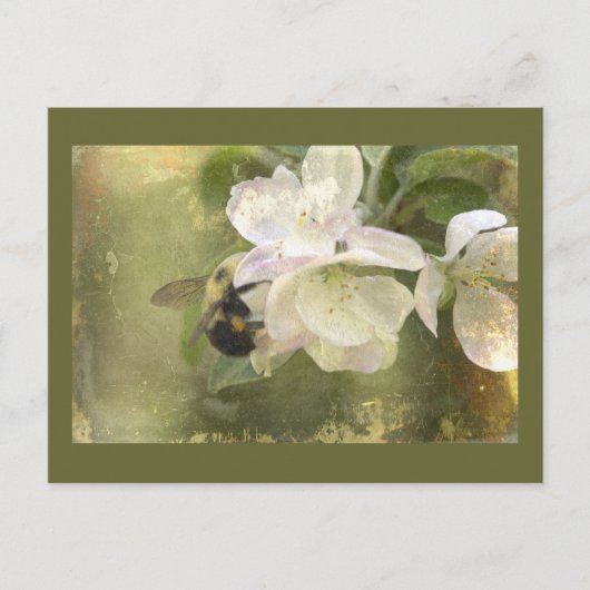 Apple Blossom en Bumblebee Briefkaart (Voorkant)