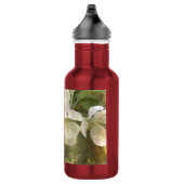 Apple Blossom en Bumblebee Waterfles (Rechts)
