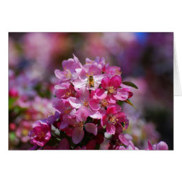 Apple Blossom en Honeybee
