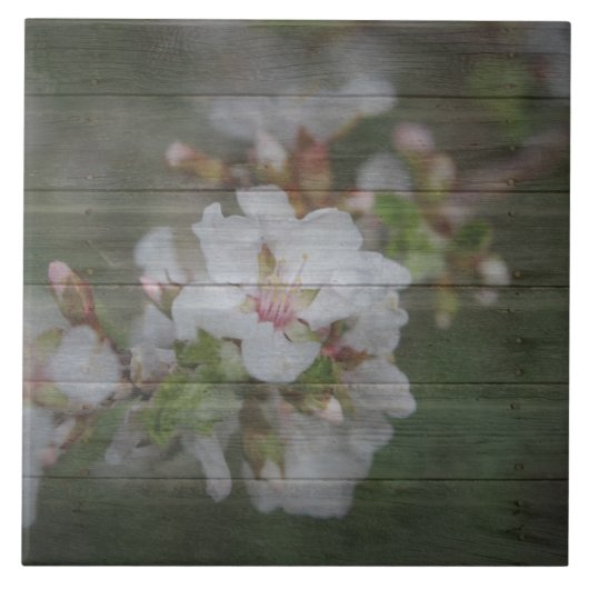 Apple Blossom en Weathered Wood Tegeltje (Voorkant)