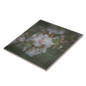 Apple Blossom en Weathered Wood Tegeltje (Zijkant)