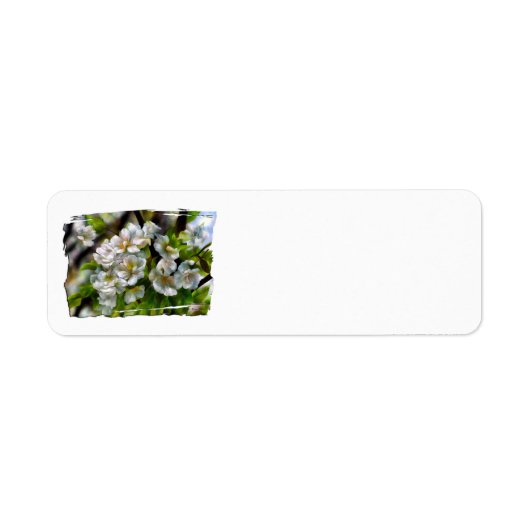 Apple Blossom Etiket (Voorkant)