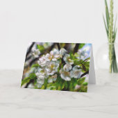 Apple Blossom Feestdagen Kaart (Achterkant)