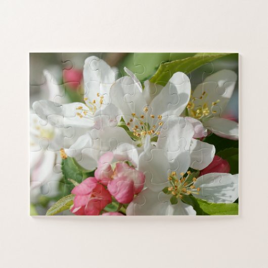 Apple Blossom Flowers Oversize Legpuzzel (Horizontaal)