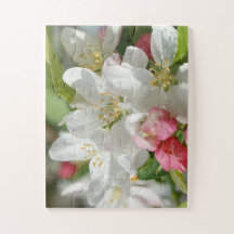 Apple Blossom Flowers Oversize