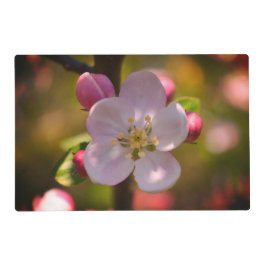 Apple Blossom Gelamineerde Placemat