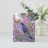 Apple Blossom Grackle Briefkaart (Staand voorkant)