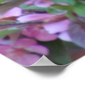 Apple Blossom Grackle Poster (Hoek)