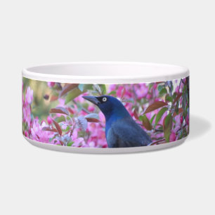 Apple Blossom Grackle Voerbakje