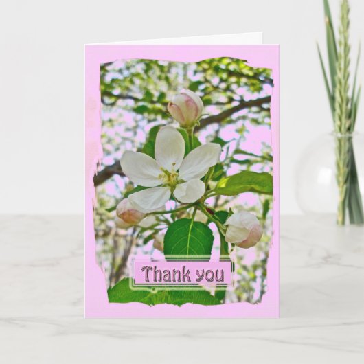 Apple Blossom - Hartelijk dank Bedankkaart (Voorkant)