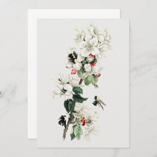  Apple Blossom Illustratie Kaart (Voorkant / Achterkant)