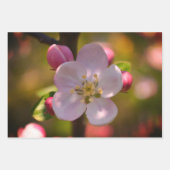 Apple Blossom Inpakpapier Vel (Voorkant)