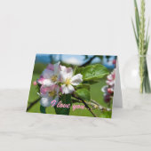 Apple Blossom Jubileum Kaart (Voorkant)