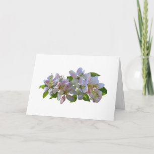 Apple Blossom Kaart