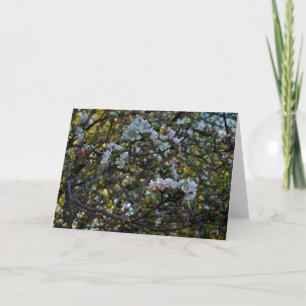 Apple Blossom Kaart