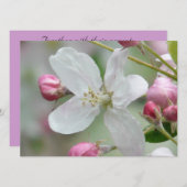 Apple Blossom Kaart (Voorkant / Achterkant)