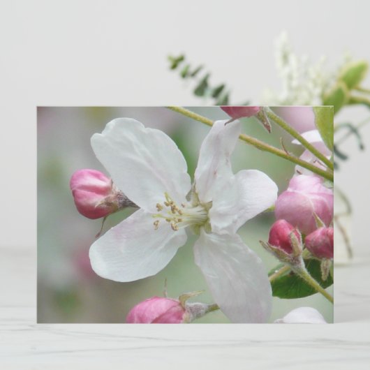 Apple Blossom Kaart (Staand voorkant)
