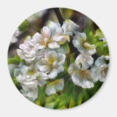 Apple Blossom Magneet (Voorkant)