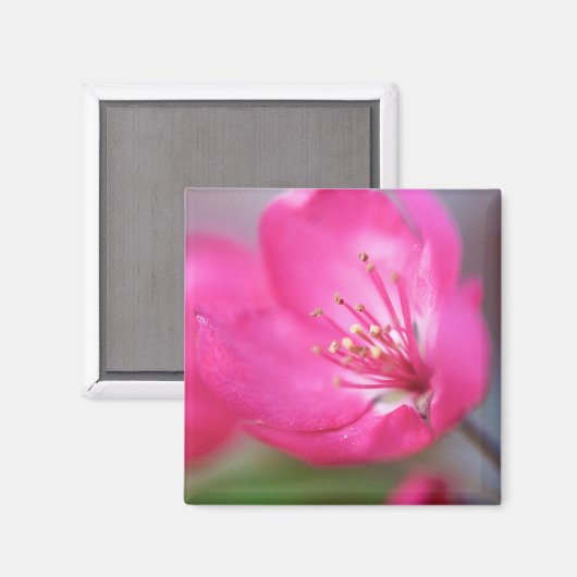 Apple Blossom Magnet (Voorkant / Achterkant)