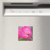 Apple Blossom Magnet (Insitu (Vaatwasser))