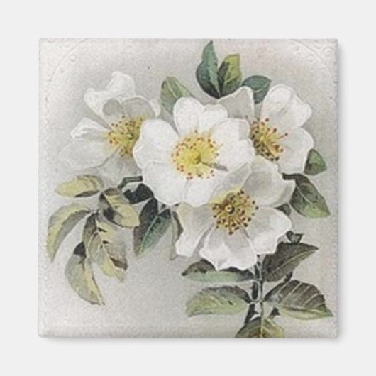  Apple Blossom Magnet (Voorkant)