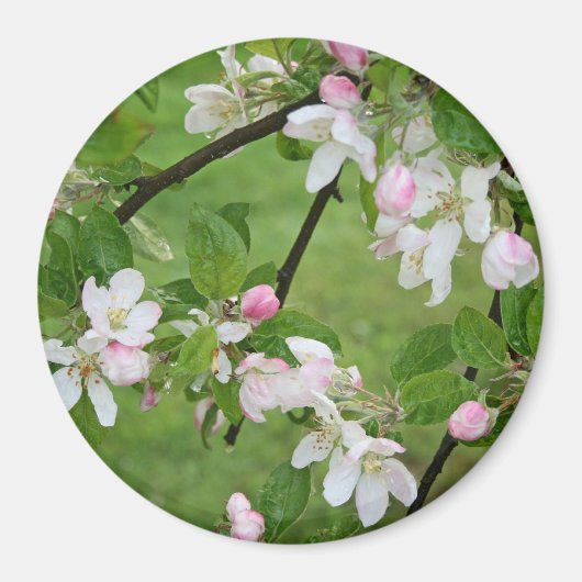Apple Blossom Magnet (Voorkant)