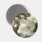 Apple Blossom Magnet (Voorkant / Achterkant)