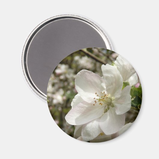 Apple Blossom Magnet (Voorkant / Achterkant)