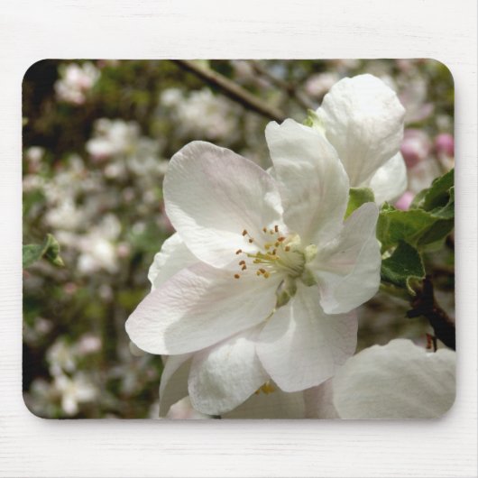 Apple Blossom Mouse Mat Muismat (Voorkant)