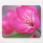 Apple Blossom Mousepad Muismat (Voorkant)