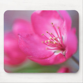 Apple Blossom Mousepad Muismat