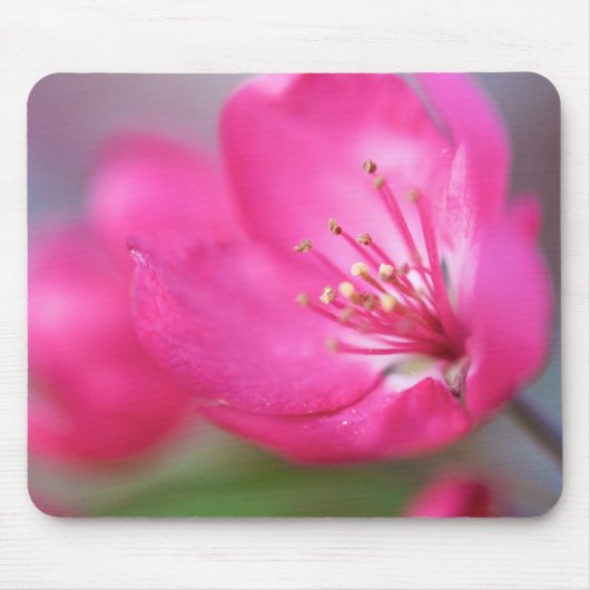 Apple Blossom Mousepad Muismat (Voorkant)