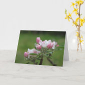 Apple Blossom note card Kaart (Gele Bloem)