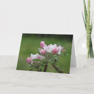 Apple Blossom note card Kaart