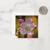 Apple Blossom Notitiekaartje (Voorkant / Achterkant in situ)