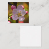 Apple Blossom Notitiekaartje (Voorkant / Achterkant)
