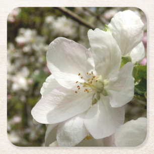 Apple Blossom Onderzetter